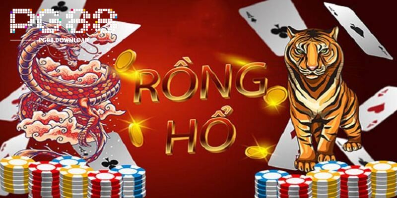 Quy định chung về rồng hổ PG88